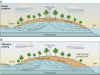 Thumbnail schematic sections of ground-water flow (a) under natural conditions and (b) affected by pumping (94 kb)