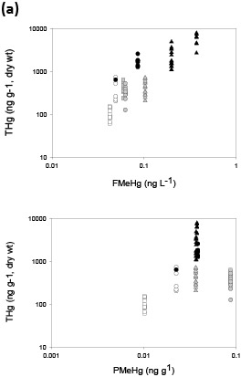 Figre 2a. Tissue Hg concentrations versus stream water FMeHg and PMeHg for (a) predator fish and (b) forage fish. Hg in biota is plotted against stream water data averaged over 2-3 years (period of study) for predator fish and 1 year for forage fish, based on average age for each category and general estimates of tissue turnover. Colors represent streams in Oregon (white), Wisconsin (gray), and Florida (black). Shapes represent nonurban streams: triangle (Pike River, St Marys River), circle (Lookout Creek, Evergreen Creek, Santa Fe River); and urban streams: square (Beaverton Creek, Oak Creek, Little Wekiva).