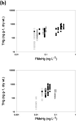 Figure 2b. Tissue Hg concentrations versus stream water FMeHg and PMeHg for (a) predator fish and (b) forage fish. Hg in biota is plotted against stream water data averaged over 2-3 years (period of study) for predator fish and 1 year for forage fish, based on average age for each category and general estimates of tissue turnover. Colors represent streams in Oregon (white), Wisconsin (gray), and Florida (black). Shapes represent nonurban streams: triangle (Pike River, St Marys River), circle (Lookout Creek, Evergreen Creek, Santa Fe River); and urban streams: square (Beaverton Creek, Oak Creek, Little Wekiva).