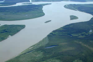 Yukon slough opening to the Yukon River
