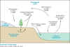 Schematic section of amount of water in parts of hydrologic cycle (21 kb)