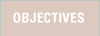 Objectives button
