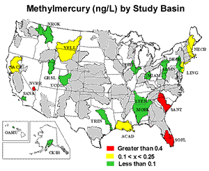 methylmercury by study basin